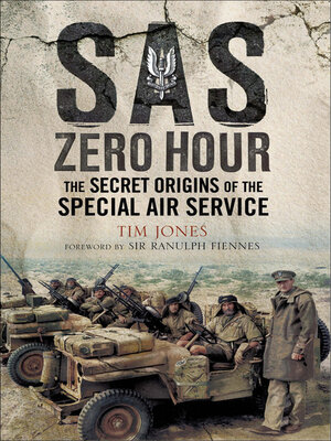 cover image of SAS Zero Hour